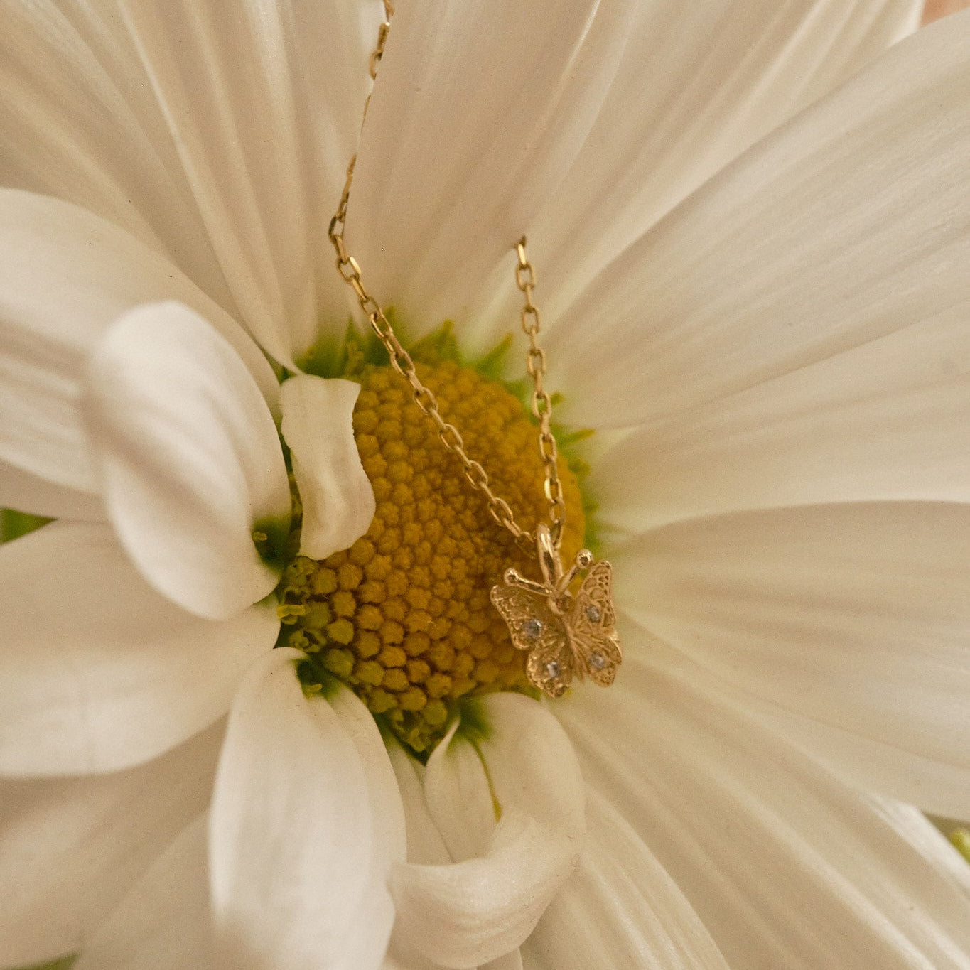 Diamond Butterfly Necklace